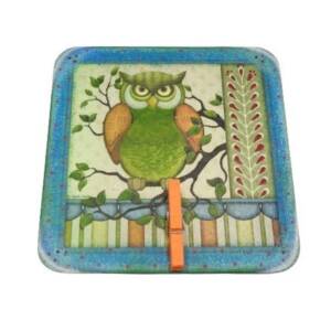 Magnet frigider cu clema model bufnita bleu verde